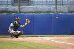 245: baseball_245