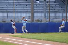 226: baseball_226