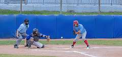 95: Baseball Aug 13 21095-denoise-clear