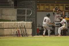 146: baseball_3772