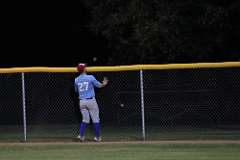 153: baseball_3806