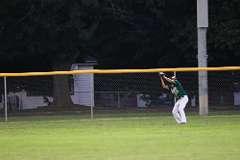 25: baseball_6461