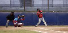 145: baseball_3329