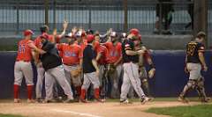 295: baseball_6237