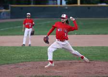 129: baseball_2736