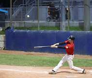 165: baseball_3559