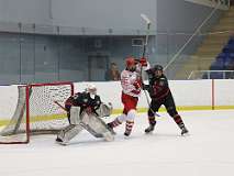 65: hockey1_1194