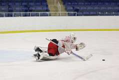 94: hockey1_1485