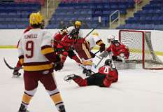 84: hockey_3878