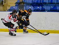 34: Game Canuck vs Hamilton Kilty Bees Nov 11 2022-077-268